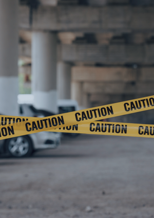 Korean Crime Victim Survey 2018